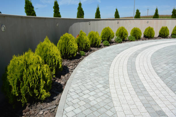 Best Driveway Paving Near Me  in Stevenson Ranch, CA